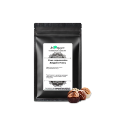 Belgijskie Praliny (100g)