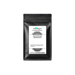 Arabica Brazylia Bezkofeinowa (100g)