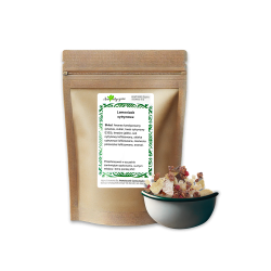 Lemoniada Cytrynowa 100g